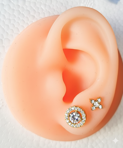 Round Gold Stainless Steel Earrings with Cubic Zirconia