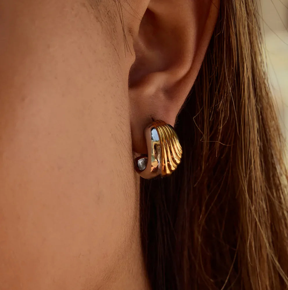 Two-Tone Design Earrings